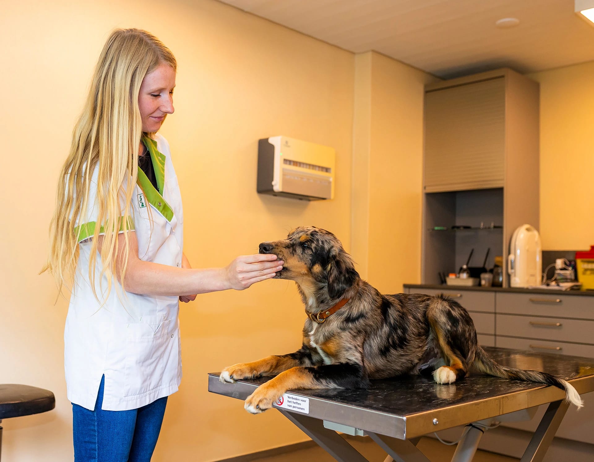 Dierenartspraktijk Voerendaal