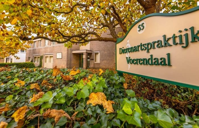 Hond bij Dierenartspraktijk Voerendaal